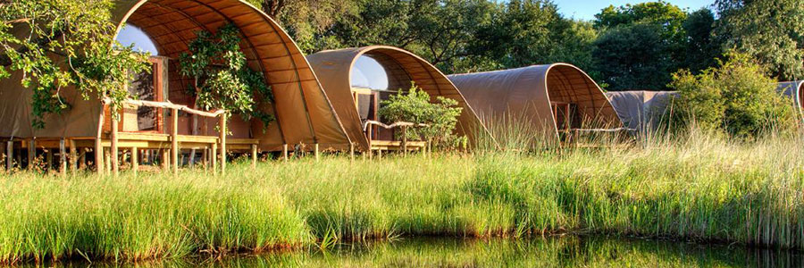 Okavango Delta Luxury Camping